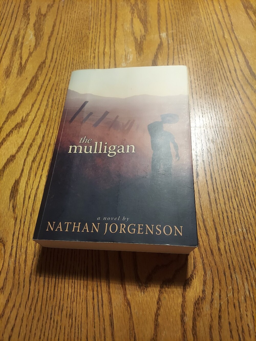 The Mulligan Paperback Nathan Jorgenson Novel Flat Rock Publishing Contemporary